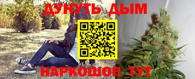 индика Краснокаменск
