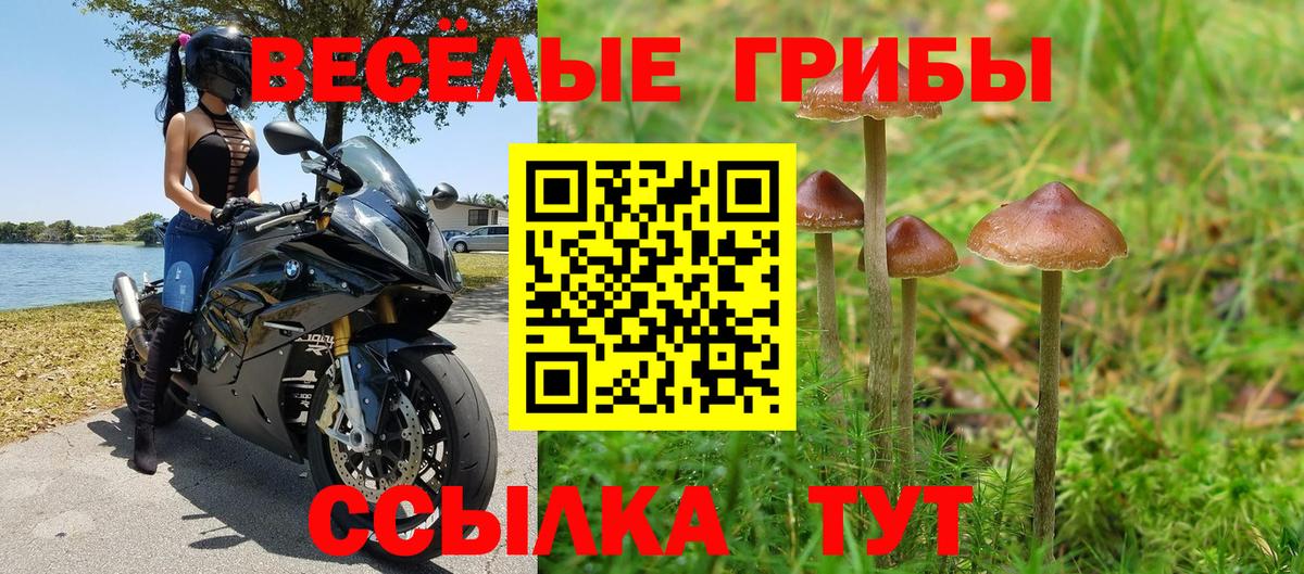 Зеленодольск  Псилоцибиновые грибы прущие грибы  Вход с VPN 